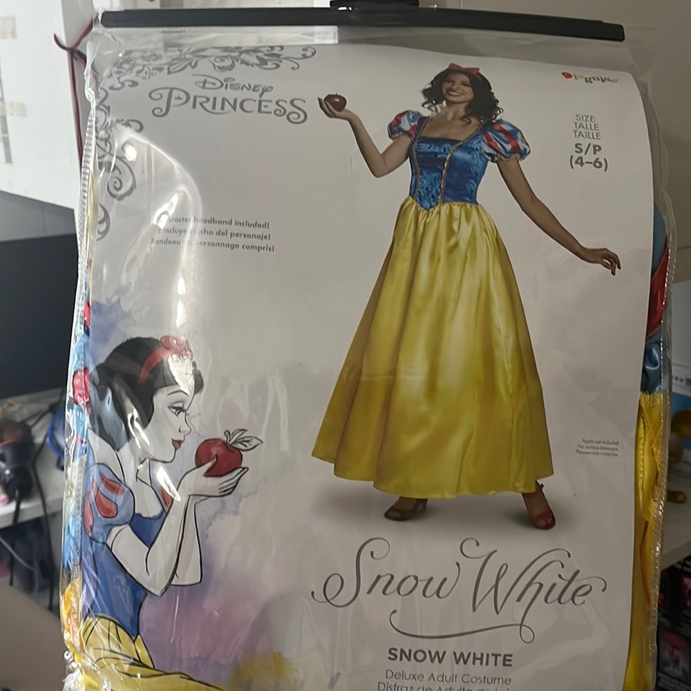 Disney Snow White costume